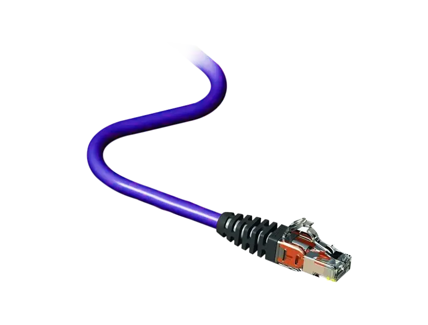 Purple Ethernet Cable for Networking