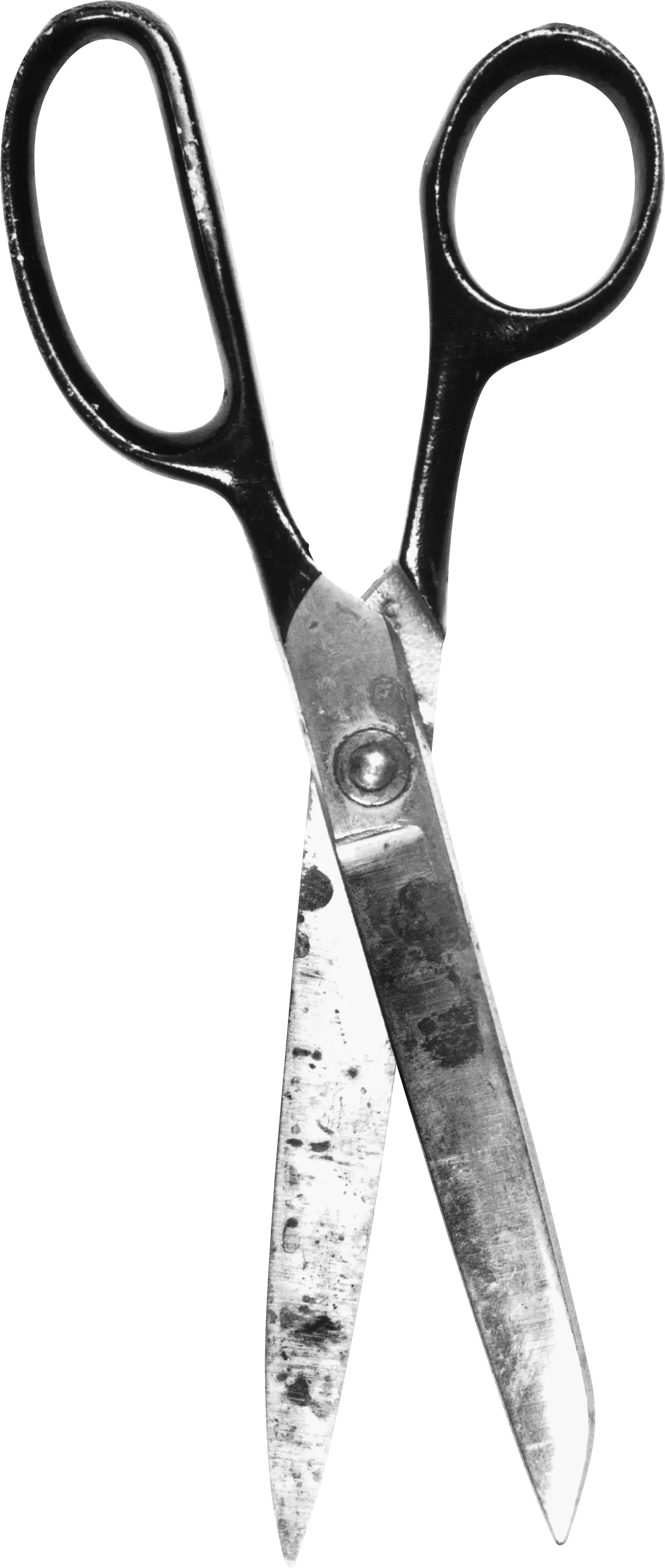 Metal Scissors
