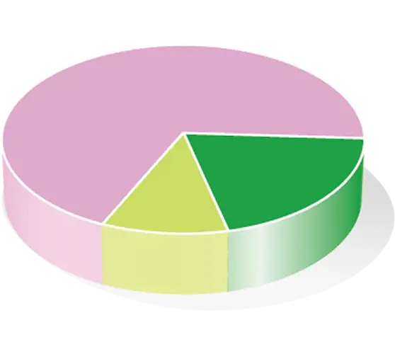 Colorful Pie Chart