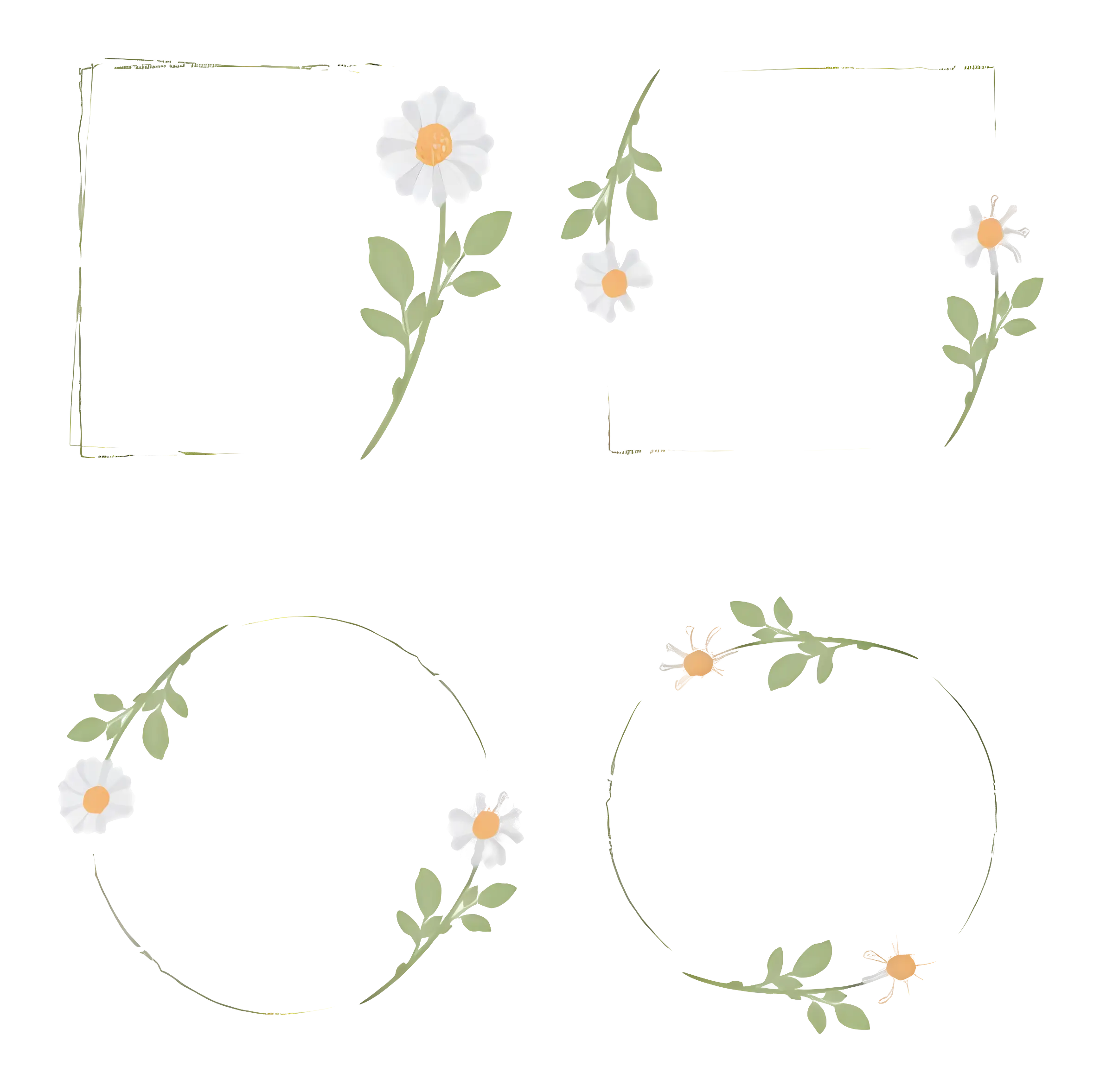 Floral Frames with Daisies