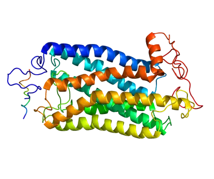 Protein Ribbon Structure for Molecular Biology Visualization