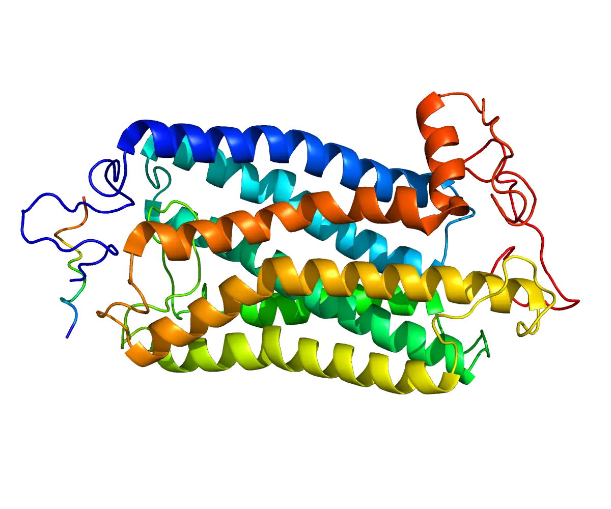 Protein Ribbon Structure for Molecular Biology Visualization