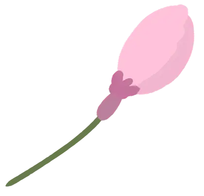 Pink Flower Bud