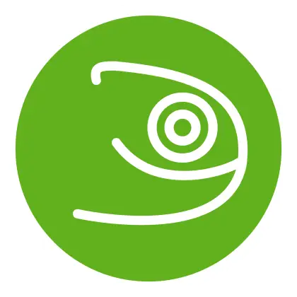 Green Chameleon Logo Design