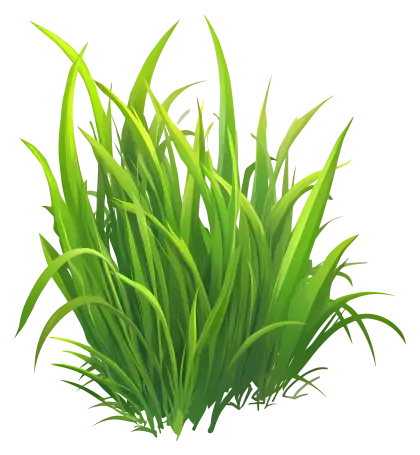 Bright Green Grass for Spring Gardens