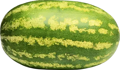 Green Striped Watermelon for Summer Snacks