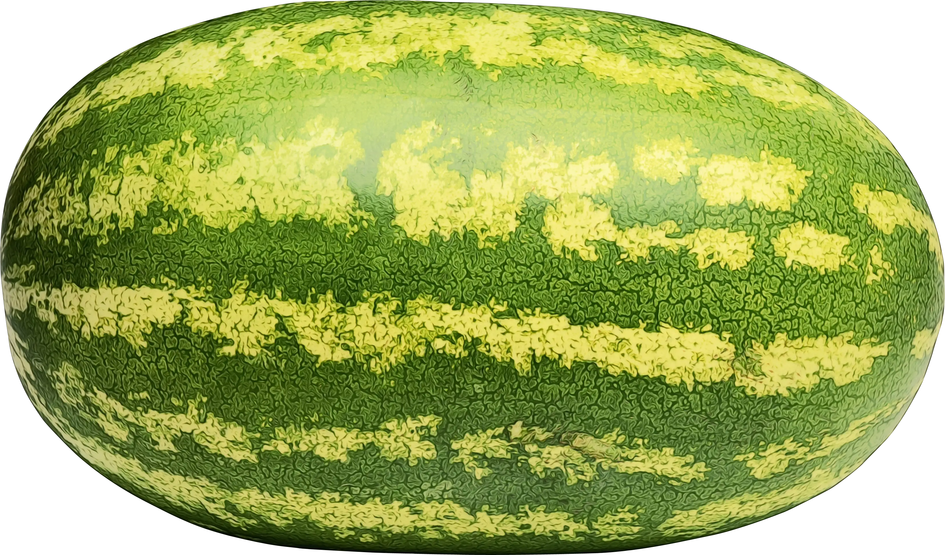 Green Striped Watermelon for Summer Snacks
