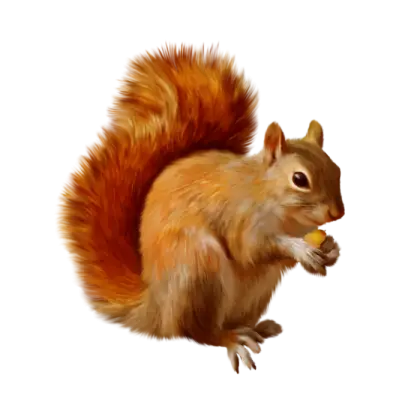 Realistic Squirrel Holding and Eating a Nut