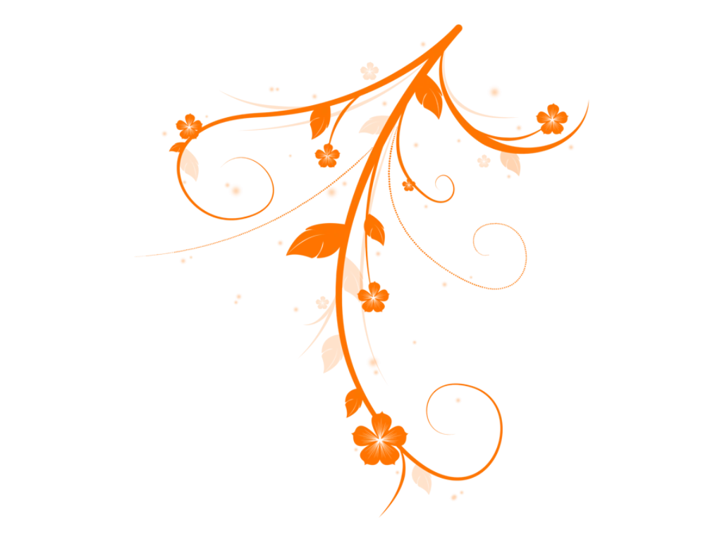 Orange Floral Design Decorative Illustration