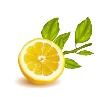 Bright Yellow Lemon Slice with Leaves