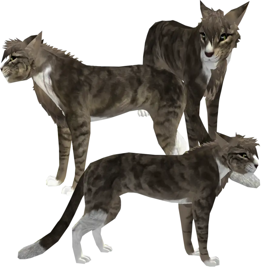 Digital Illustration of Wildcat Trio