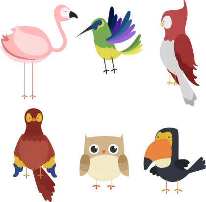 Colorful Cartoon Birds Illustration