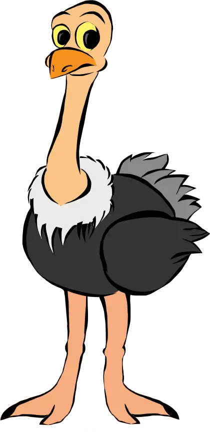 Funny Cartoon Ostrich Illustration