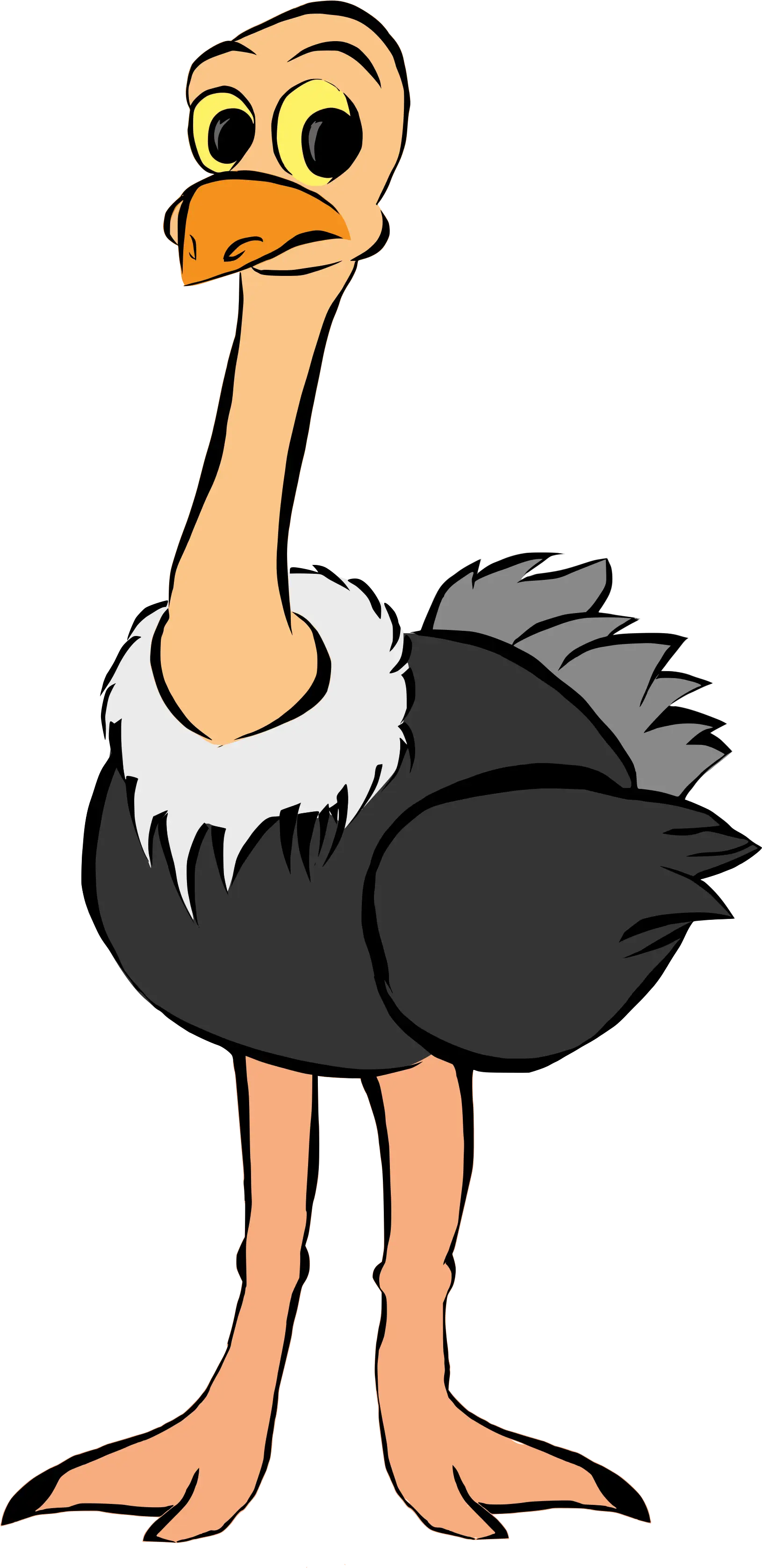 Funny Cartoon Ostrich Illustration