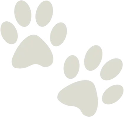 Paw Prints Icon