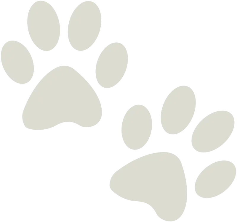 Paw Prints Icon