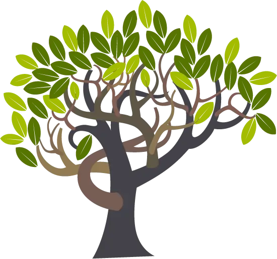 Green Tree with Leaves in Botanical Style