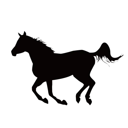 Black Horse Silhouette in Motion