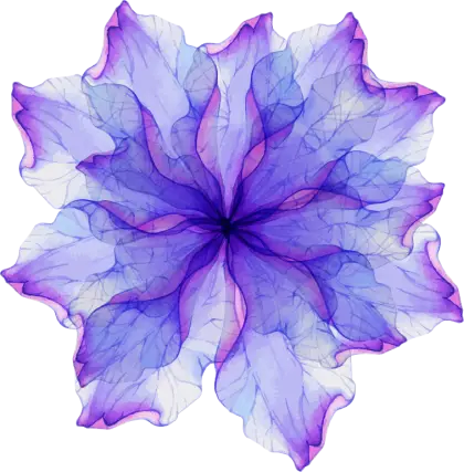 Beautiful Purple Flower Illustration