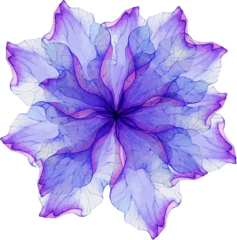 Beautiful Purple Flower Illustration