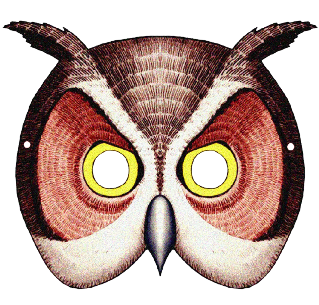 Owl Mask with Detailed Feathers