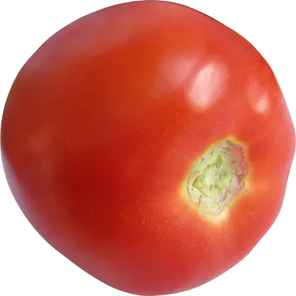 Fresh Red Tomato
