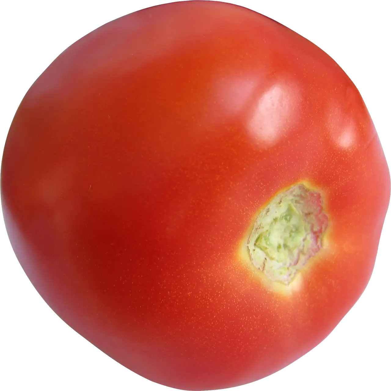 Fresh Red Tomato