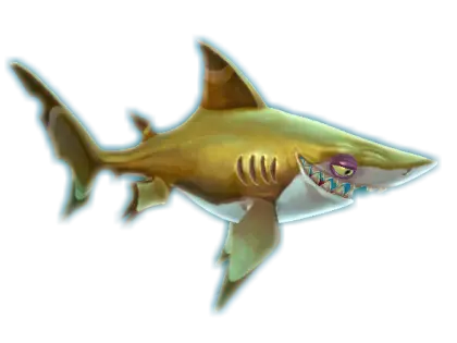 Cartoon Shark Illustration