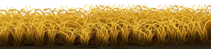 Yellow Grass Field Illustration