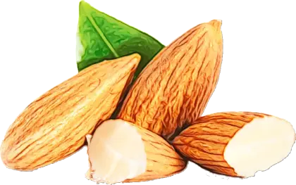 Almonds with Green Leaf