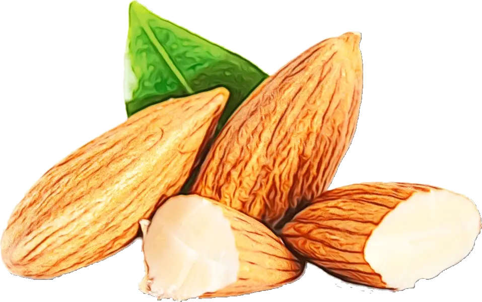 Almonds with Green Leaf