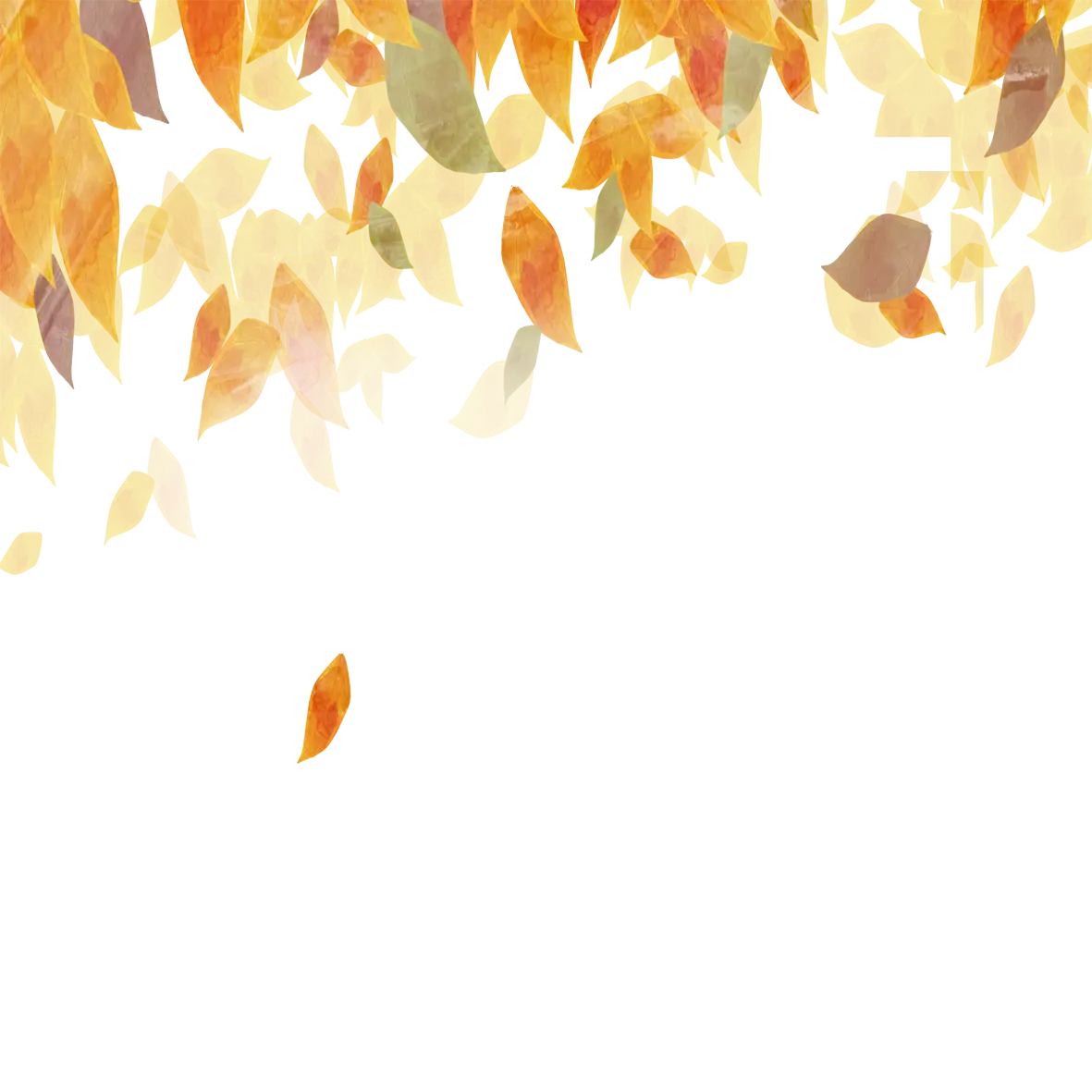 Falling Autumn Leaves for Seasonal Decor
