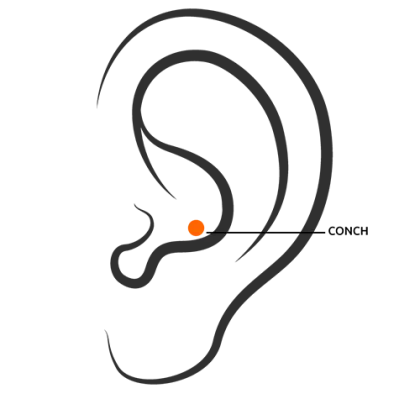 Ear with Conch Piercing