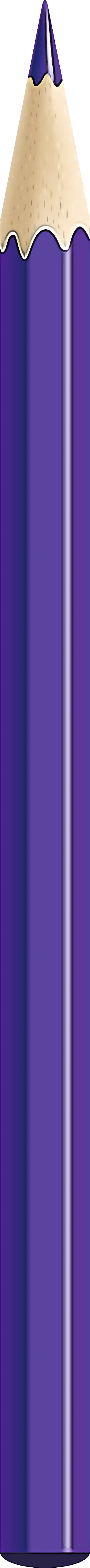 Purple Color Pencil Illustration