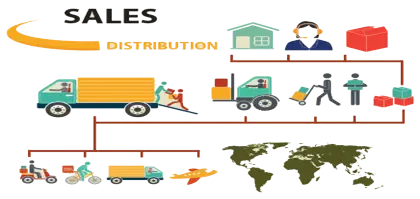 Sales Distribution Infographic