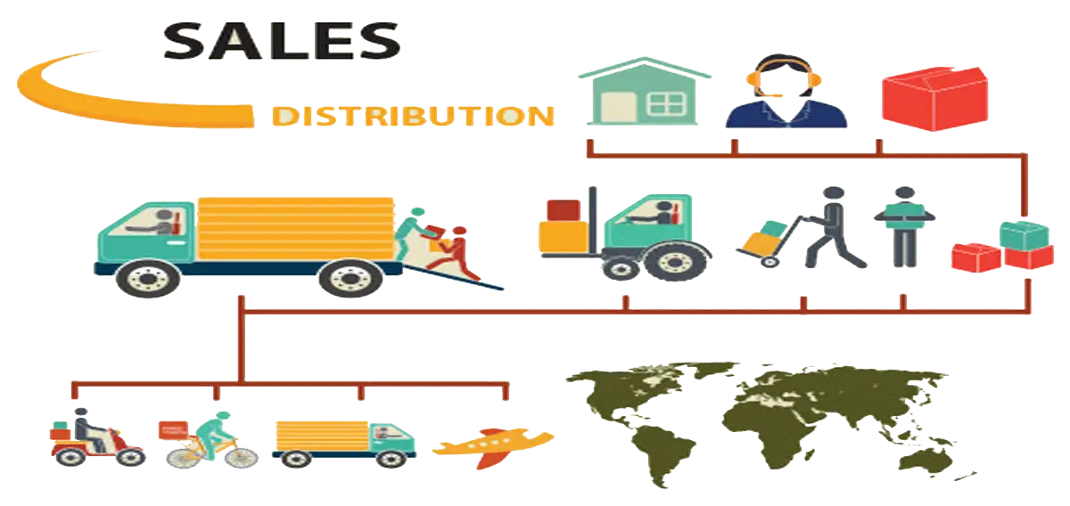 Sales Distribution Infographic