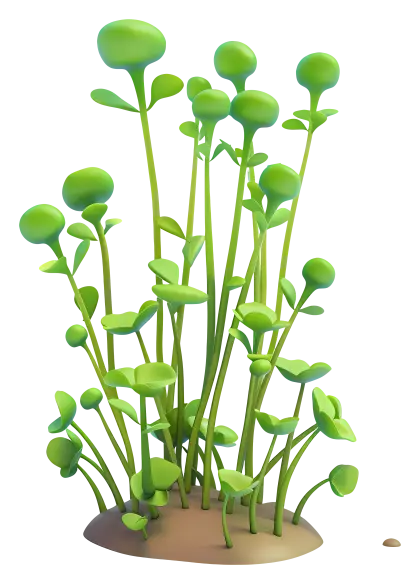 Green Plants Illustration