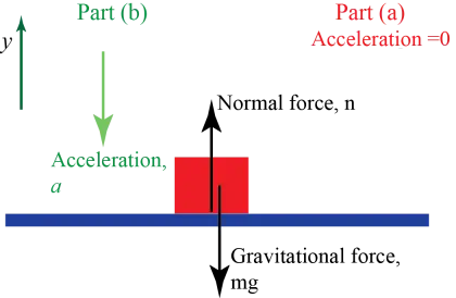 Physics Free Body Diagram with Forces