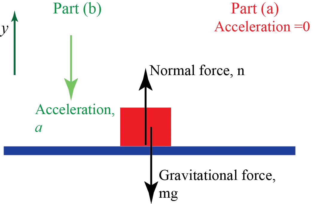 Physics Free Body Diagram with Forces
