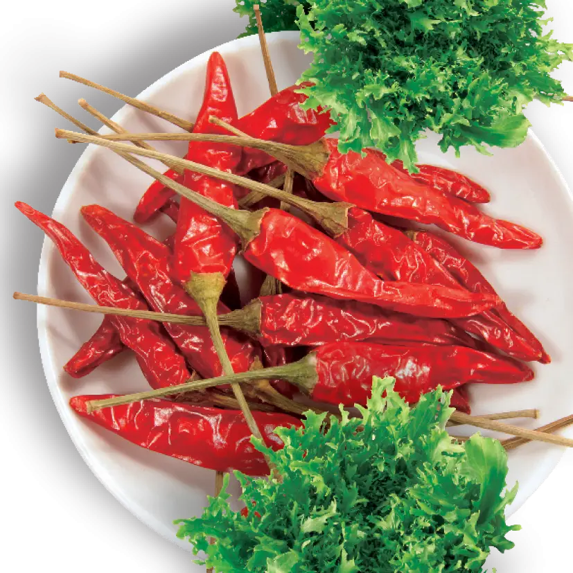Spicy Red Chili Peppers on Plate