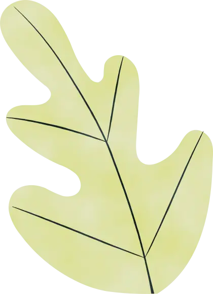 Simple Leaf Illustration