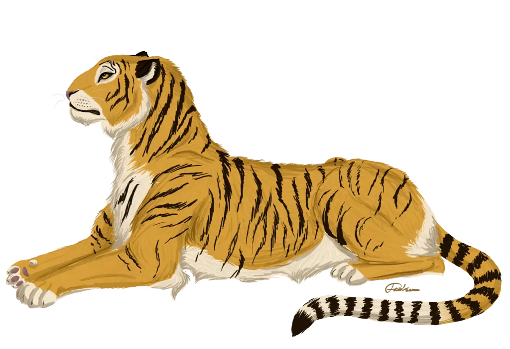 Illustration of a Regal Tiger