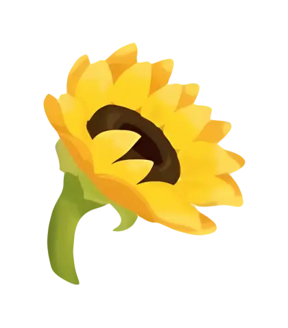 Bright Yellow Sunflower