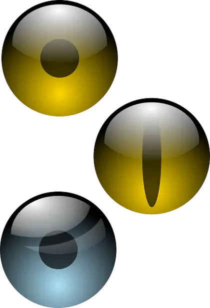 Golden Cat-like Animal Eyes Graphics