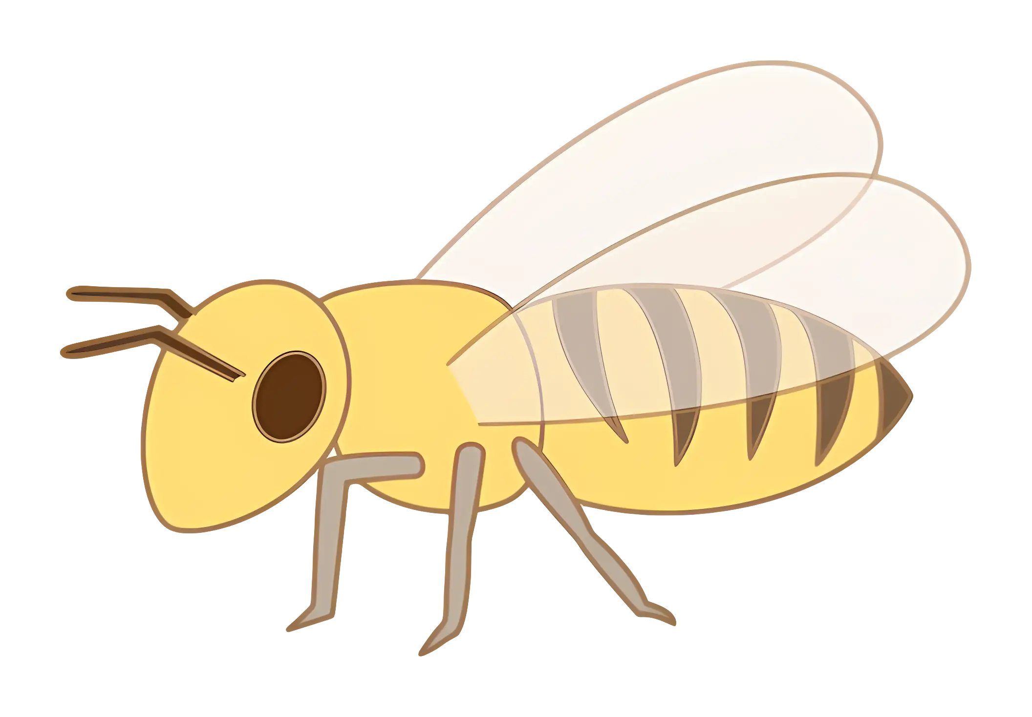 Cute Cartoon Honeybee Illustration