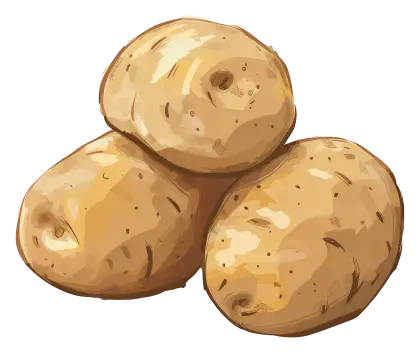 Illustration of Fresh Potatoes