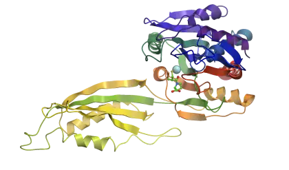 Illustration of a Protein Structure