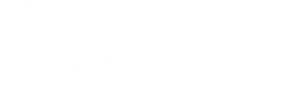 OWASP White Logo for Security