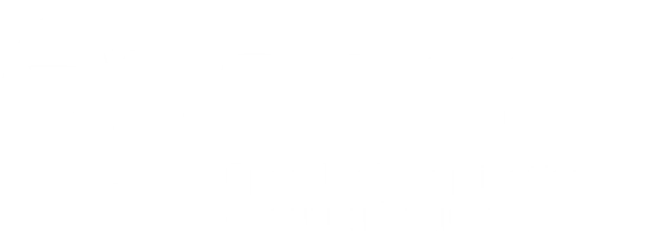 OWASP White Logo for Security