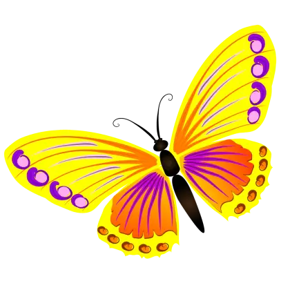 Yellow and Purple Butterfly Art Illustration